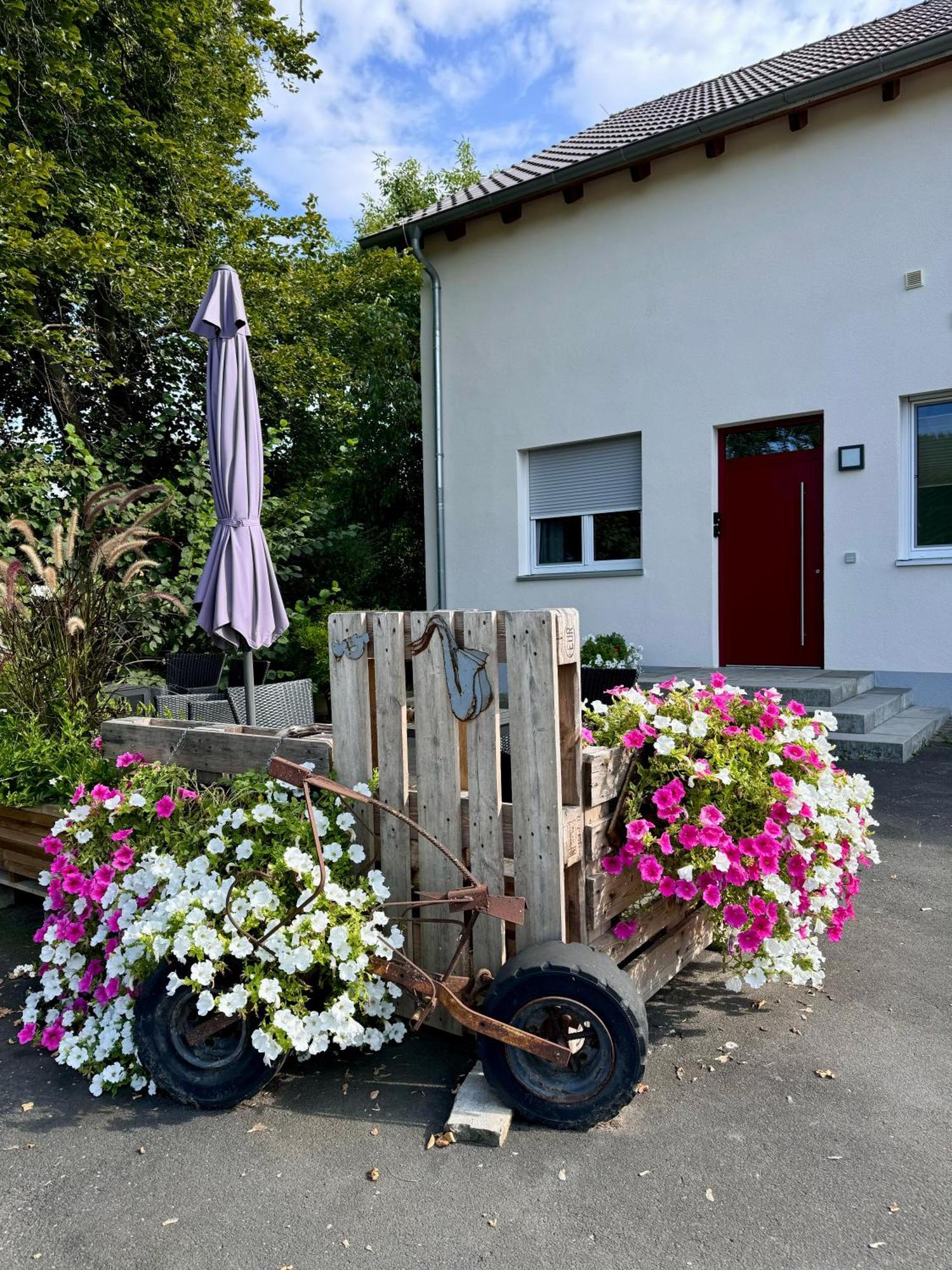 Ferienwohnungen Frank Segnitz Exterior photo